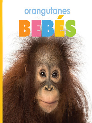 cover image of orangutanes bebés